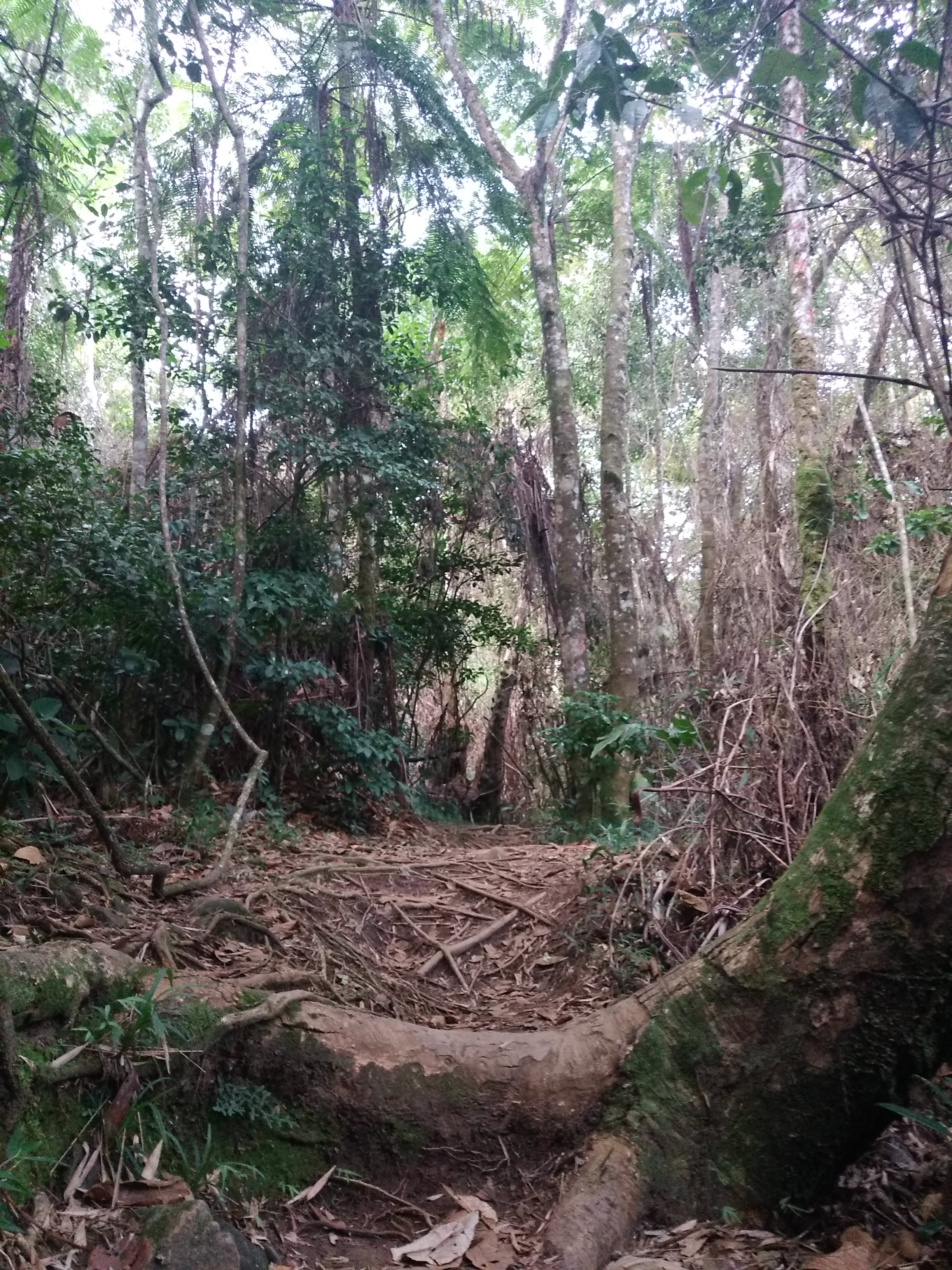 Tierra Mar